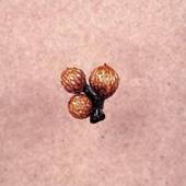 Und Die Scheibe Andert Sich Immer